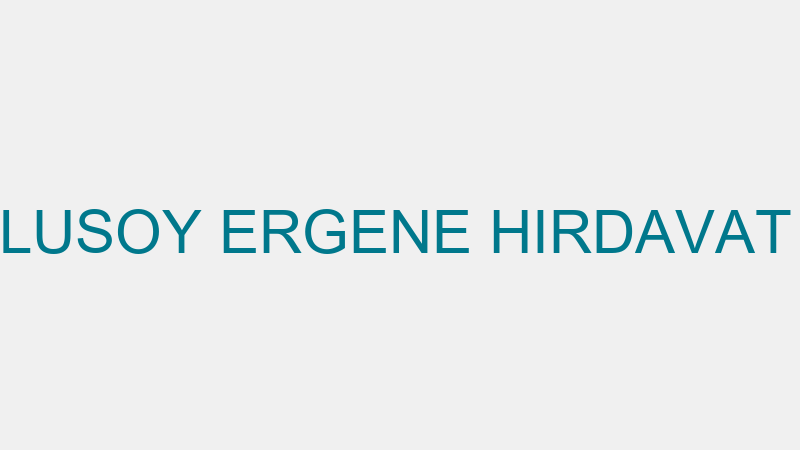 MUSTAFA ULUSOY ERGENE HIRDAVAT NALBURİYE