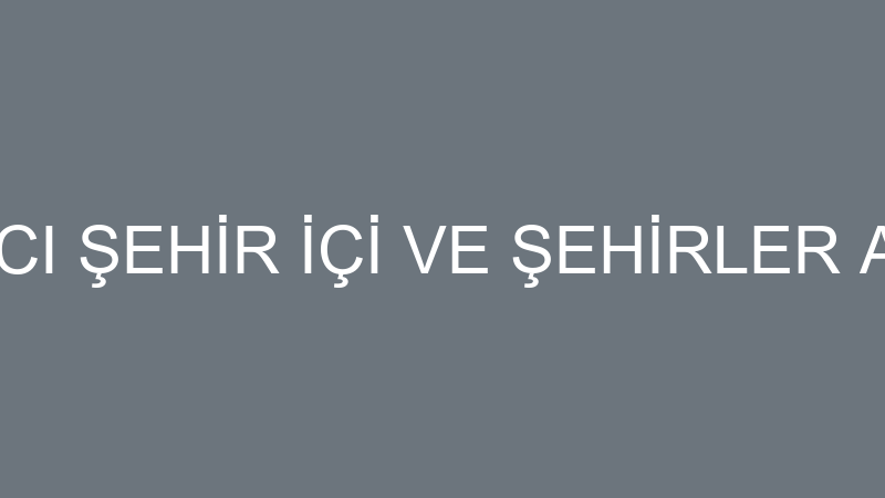 MURAT BALTACI ŞEHİR İÇİ VE ŞEHİRLER ARASI NAKLİYE