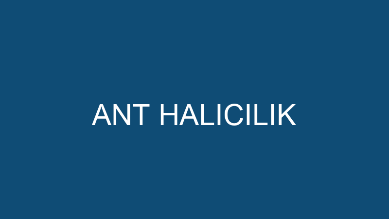 ANT HALICILIK