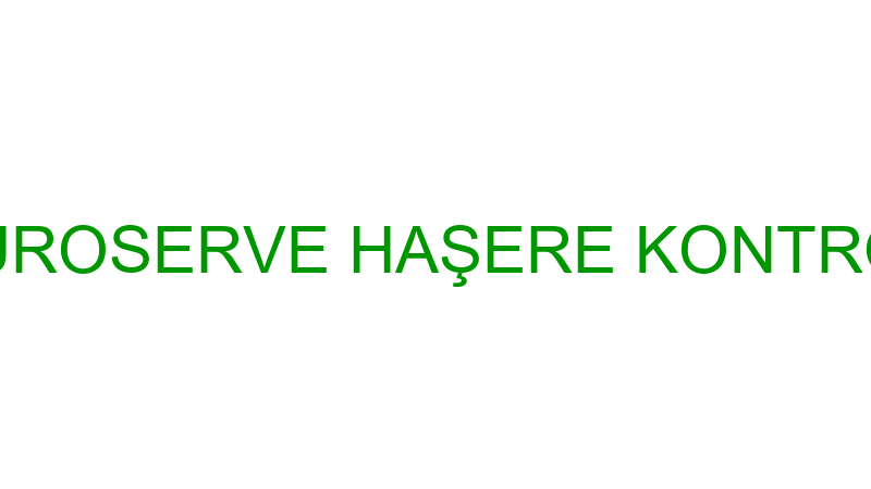 EUROSERVE HAŞERE KONTROL