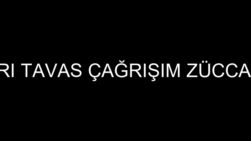 ÇAĞRI TAVAS ÇAĞRIŞIM ZÜCCACİYE