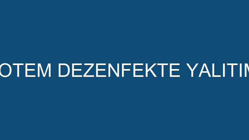 DEPOTEM - DEPOTEM DEZENFEKTE YALITIM İNŞAAT SAN. V