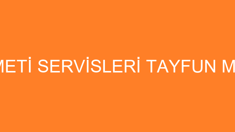 PALYAÇO HİZMETİ SERVİSLERİ TAYFUN MEHMET KASAP