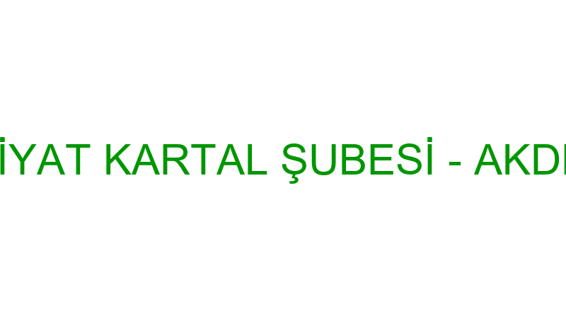 AKDENİZ NAKLİYAT KARTAL ŞUBESİ - AKDENİZ NAKLİYAT