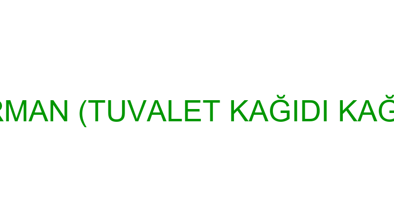 BAHYETTİN HARMAN (TUVALET KAĞIDI KAĞIT MENDİL TEMİ