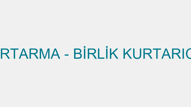 Bi̇rli̇k Oto Kurtarma - Bi̇rli̇k Kurtarıcı Vi̇nç Taşıma logosu