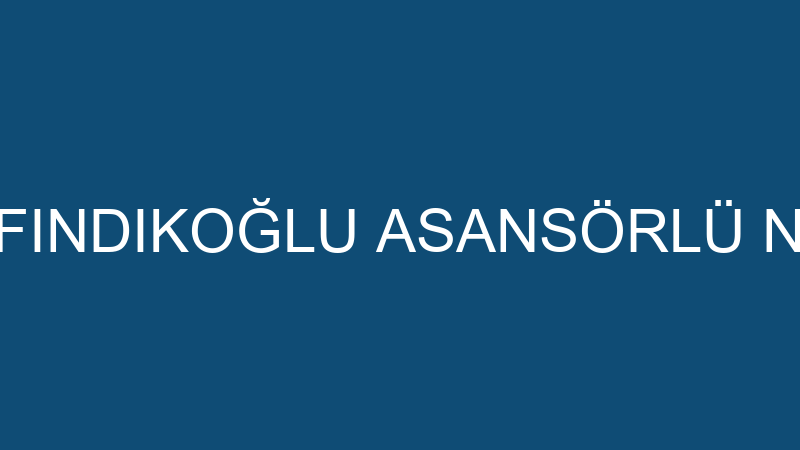 CENGİZ FINDIKOĞLU ASANSÖRLÜ NAKLİYAT
