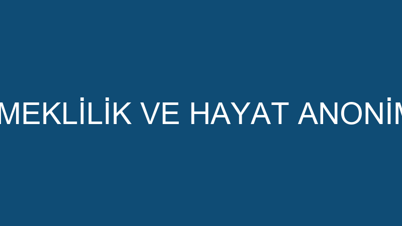 FİNANS EMEKLİLİK VE HAYAT ANONİM ŞİRKETİ