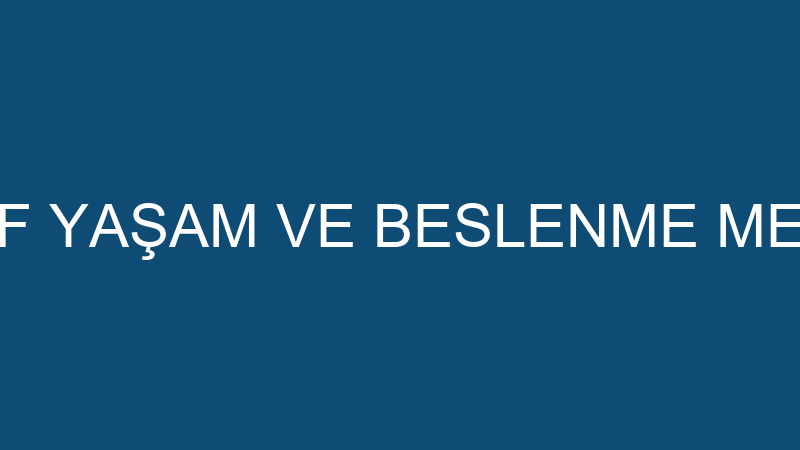 FITHAMLE AKTİF YAŞAM VE BESLENME MERKEZİ (Levent T