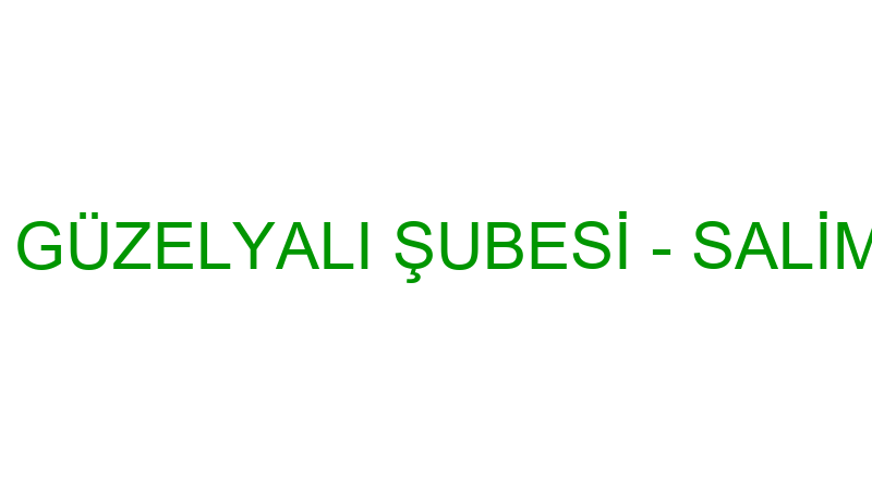 TENTECİ SALİM GÜZELYALI ŞUBESİ - SALİM TRAK BRANDA