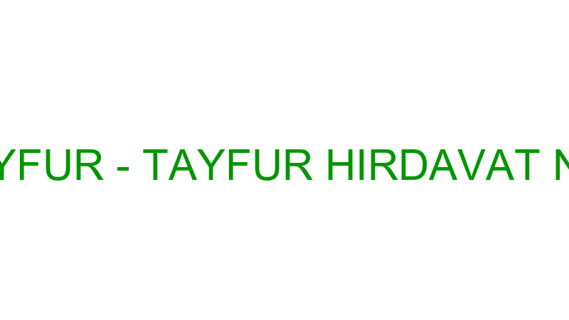 TURAN TAYFUR - TAYFUR HIRDAVAT NALBURİYE