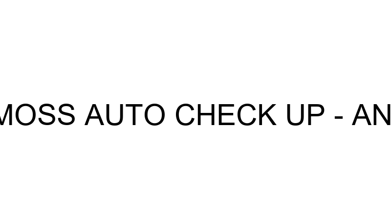 DYNOMOSS AUTO CHECK UP - ANTALYA