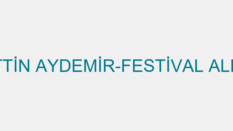 SEYFETTİN AYDEMİR-FESTİVAL ALIŞVERİŞ