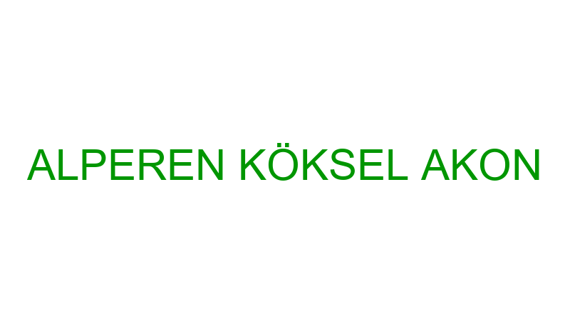 ALPEREN KÖKSEL AKON