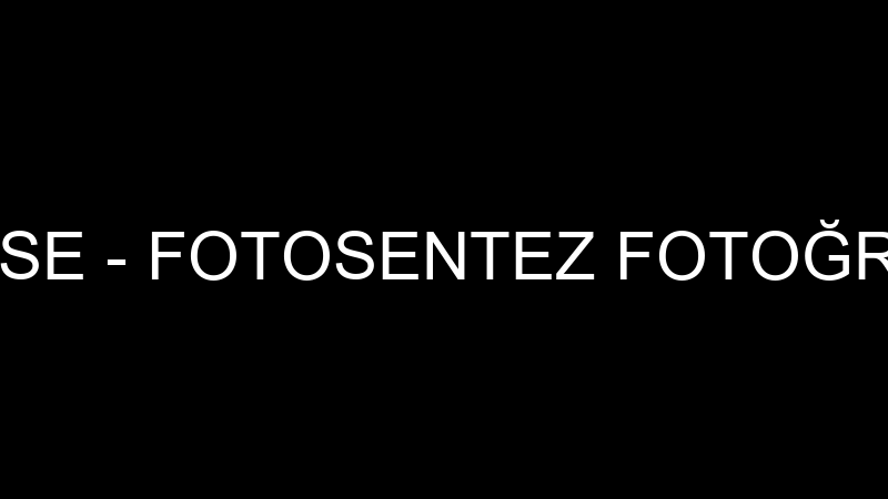 BORA KARAKÖSE - FOTOSENTEZ FOTOĞRAF STÜDYOSU
