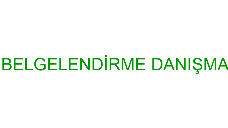 VİZYON SİSTEM BELGELENDİRME DANIŞMANLIK TİCARET Lİ