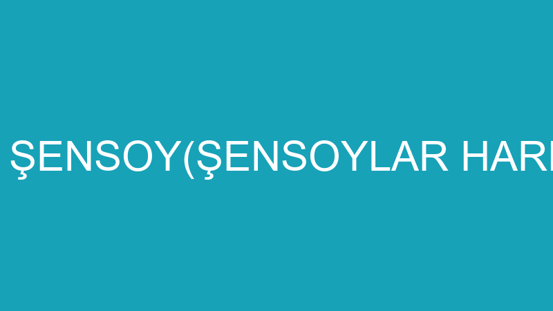 BEKİR ŞENSOY(ŞENSOYLAR HARFİYAT)