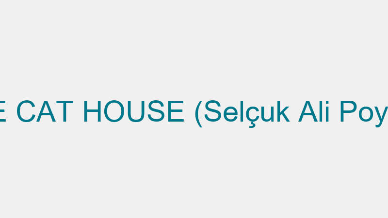 THE CAT HOUSE (Selçuk Ali Poyraz)