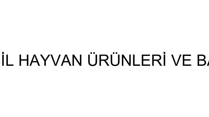 GROOMİMİ EVCİL HAYVAN ÜRÜNLERİ VE BAKIMI İTHALAT İ