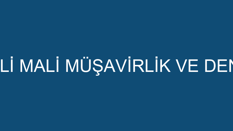 TEKNİK YEMİNLİ MALİ MÜŞAVİRLİK VE DENETİM LİMİTED