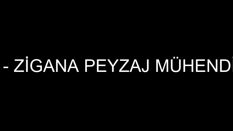 Usta İstanbul logosu