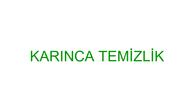 KARINCA TEMİZLİK