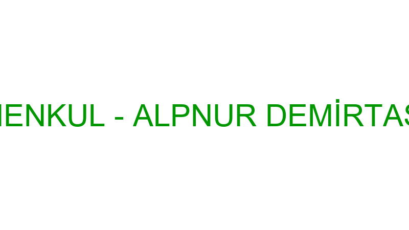 ALPNUR GAYRİMENKUL - ALPNUR DEMİRTAŞ TEKSTİL İNŞAA