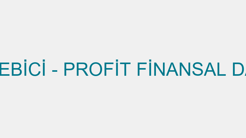 EMİNE LEBLEBİCİ - PROFİT FİNANSAL DANIŞMANLIK