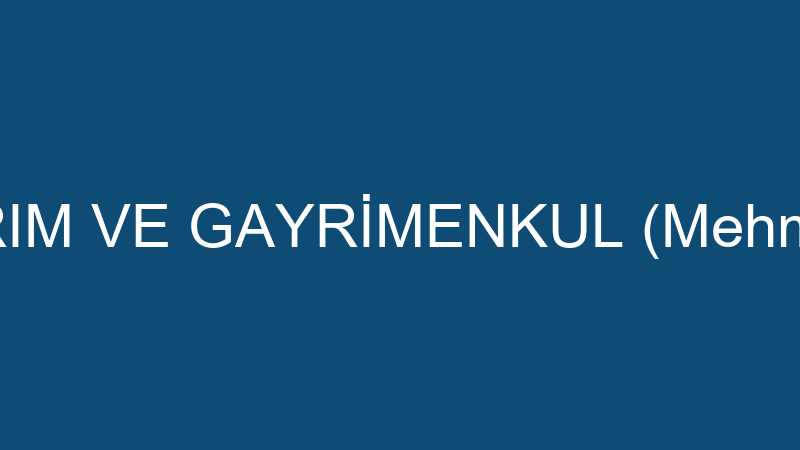 NET YATIRIM VE GAYRİMENKUL (Mehmet Sungur)