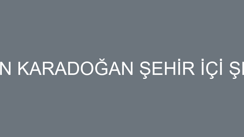 HEYNAK HÜSEYİN KARADOĞAN ŞEHİR İÇİ ŞEHİRLERARASI N