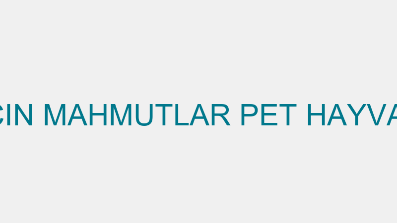 ÖZKAN BARCIN MAHMUTLAR PET HAYVAN BAKIM EVİ