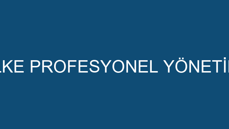 İLKE PROFESYONEL YÖNETİM