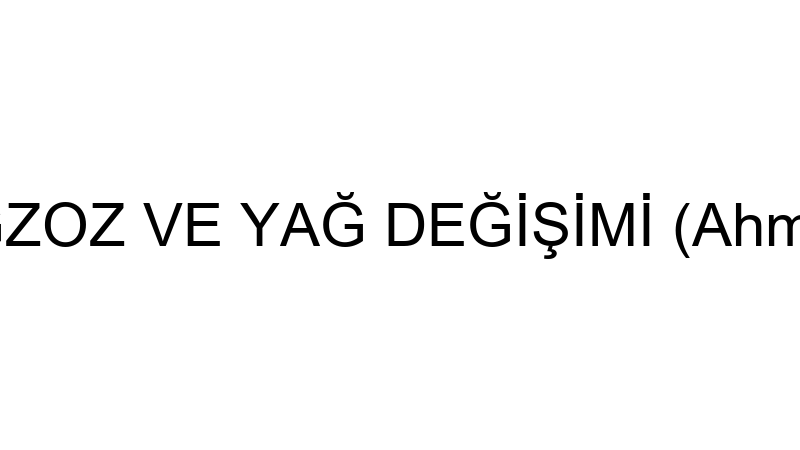BİLEN EGZOZ VE YAĞ DEĞİŞİMİ (Ahmet Parlak)