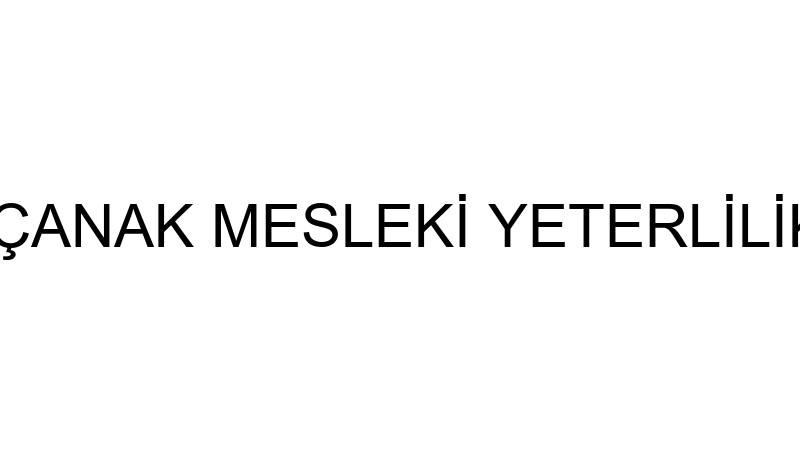 CEYLAN ÇANAK ÇANAK MESLEKİ YETERLİLİK VE DANIŞMANL