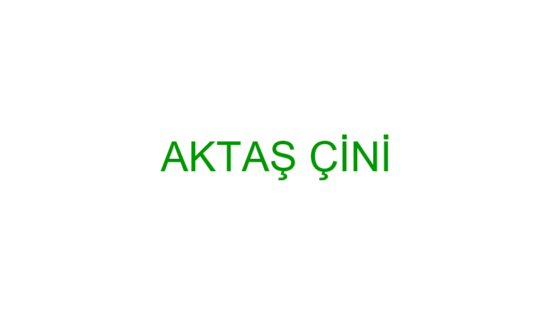 AKTAŞ ÇİNİ