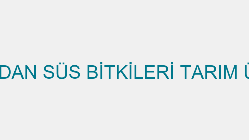 ERDEM FİDE FİDAN SÜS BİTKİLERİ TARIM ÜRÜNLERİ DANI