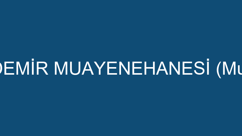 YALÇIN ÖZDEMİR MUAYENEHANESİ (Murat Özdemir)