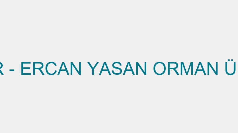 LAMİNAT CENTER - ERCAN YASAN ORMAN ÜRÜNLERİ VE MOB