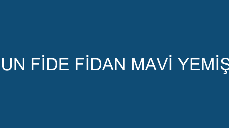 GİFİMEY GİRESUN FİDE FİDAN MAVİ YEMİŞ MEYVECİLİK O
