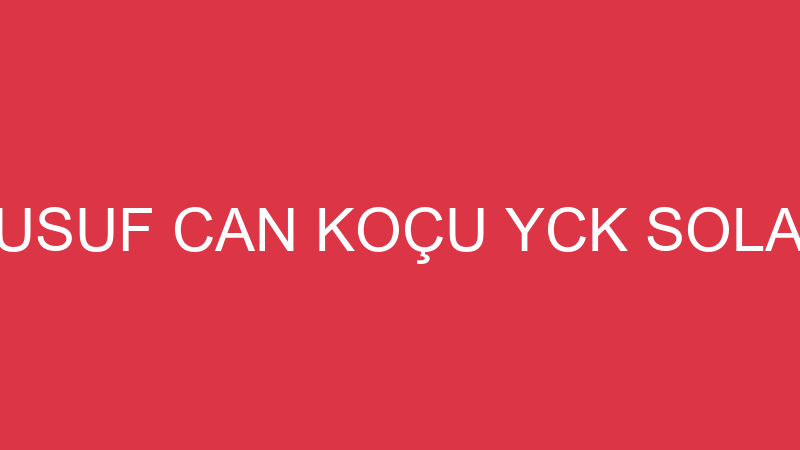 Yüzde Yüz Şans Oyunları Gıda Sanayi̇ Ve Ti̇caret Li̇m logosu