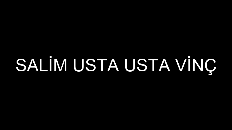 SALİM USTA USTA VİNÇ