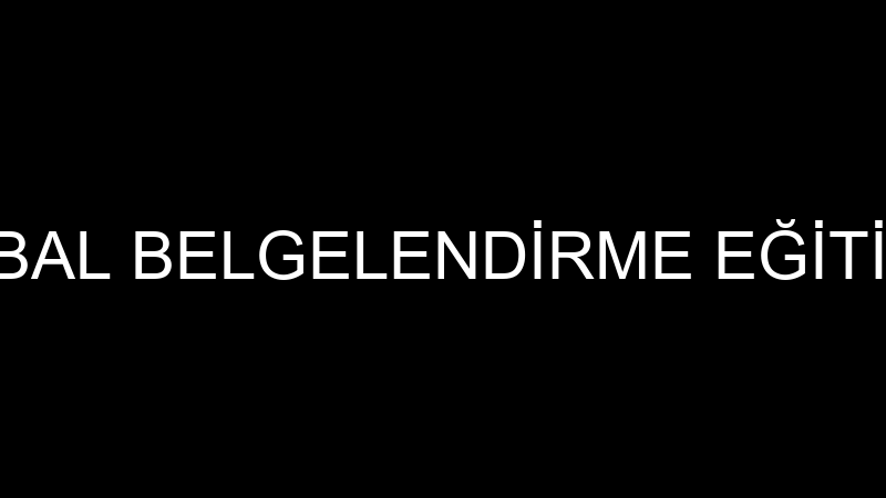 SİGMACERT GLOBAL BELGELENDİRME EĞİTİM GIDA LABORAT