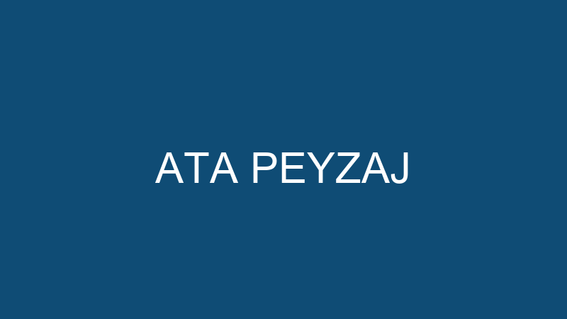 ATA PEYZAJ