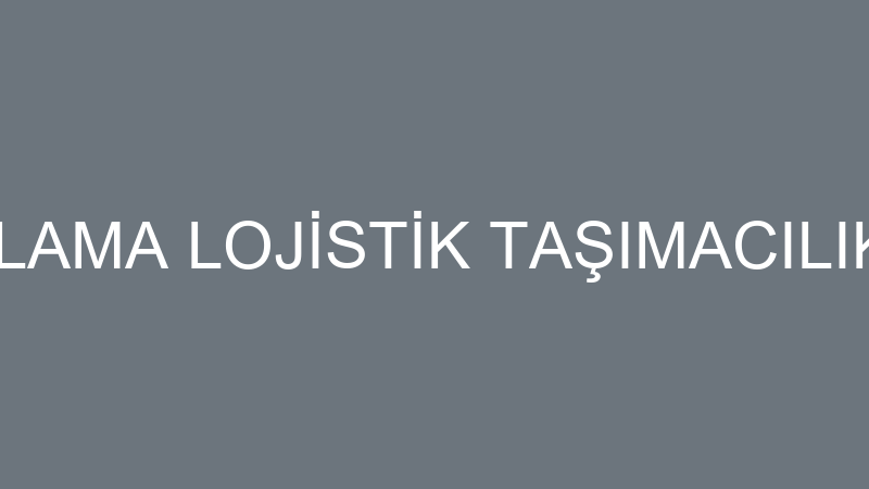 GÖLYAZI DEPOLAMA LOJİSTİK TAŞIMACILIK HİZMETLERİ S