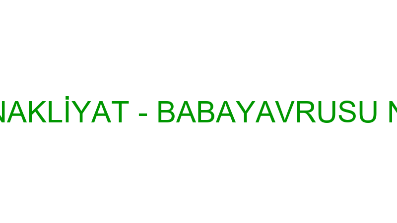 BABAYAVRUSU NAKLİYAT - BABAYAVRUSU NAKLİYAT LTD.ŞT