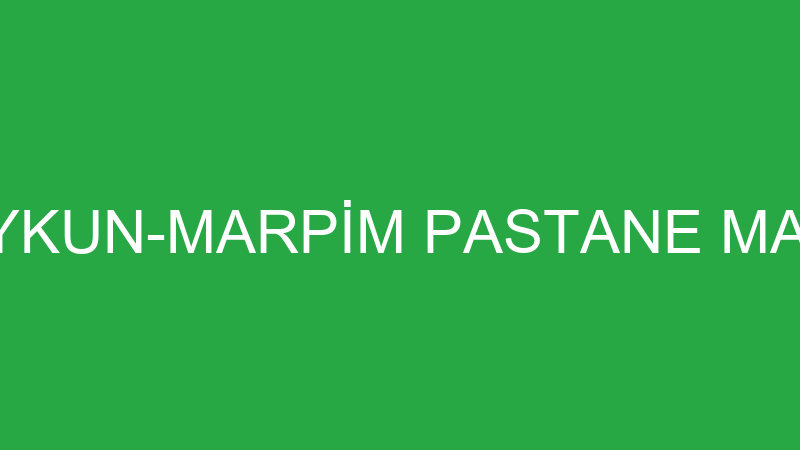 MAHMUT UYKUN-MARPİM PASTANE MALZEMELERİ