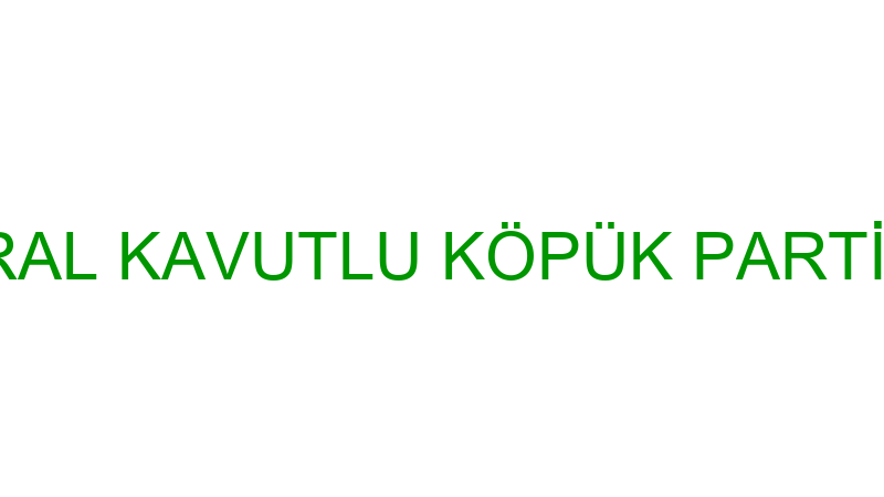 MERAL KAVUTLU KÖPÜK PARTİ EVİ