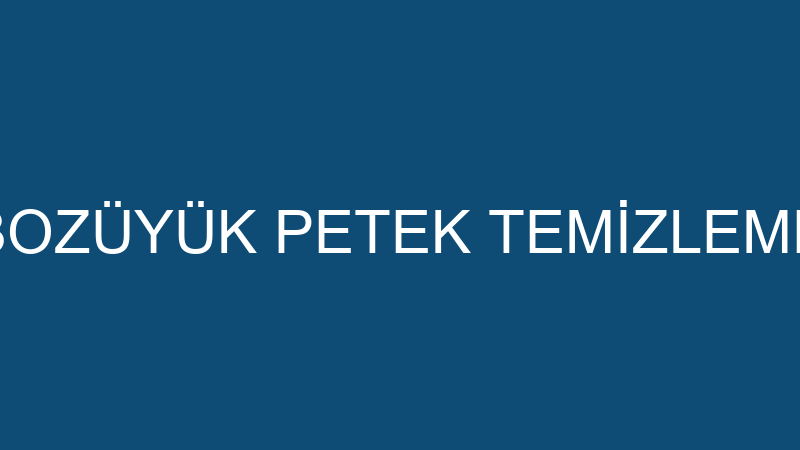 BOZÜYÜK PETEK TEMİZLEME