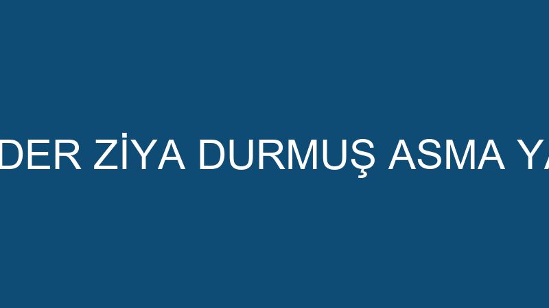 ENDER ZİYA DURMUŞ ASMA YAPI