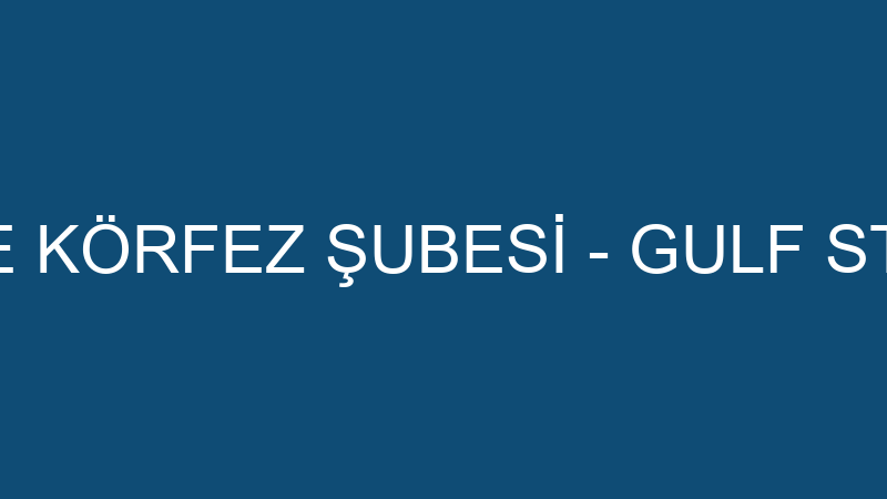 AMERICAN LIFE KÖRFEZ ŞUBESİ - GULF STAR EĞİTİM HİZ